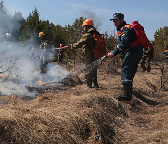 Поджоги сухой травы и мусора привели к половине пожаров в Новосибирске