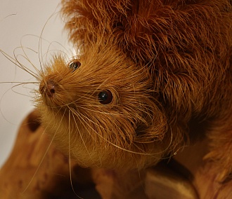 Зверушки из стружки: фантастических животных показывают в Музее природы